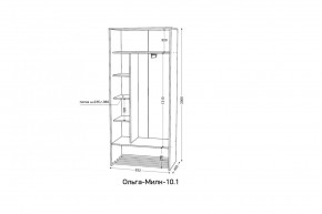 ОЛЬГА-МИЛК 10.1 Шкаф-купе без зеркала в Режи - rezh.mebel24.online | фото 2