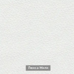 ОЛЬГА-МИЛК 2 Прихожая в Режи - rezh.mebel24.online | фото 4