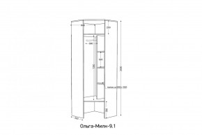 ОЛЬГА-МИЛК 9.1 Шкаф угловой без зеркала в Режи - rezh.mebel24.online | фото 2