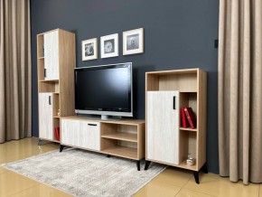 ОСКАР TRIO Гостиная (дуб золотой/сосна белая loft) в Режи - rezh.mebel24.online | фото 3