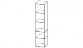 ЛУКСОР-11 Пенал (ЦРК.ЛКС.11 пенал) в Режи - rezh.mebel24.online | фото 2
