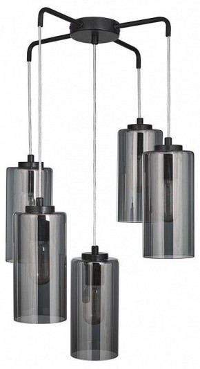 Подвесная люстра 33 идеи PND169S PND169S.05.17.001.BL-S16GR в Режи - rezh.mebel24.online | фото