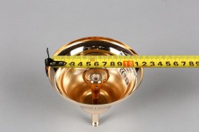 Подвесная люстра Aployt Daniele APL.701.03.12 в Режи - rezh.mebel24.online | фото 6