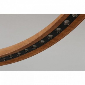 Подвесная люстра Aployt Justyna APL.787.03.75 в Режи - rezh.mebel24.online | фото 10