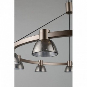 Подвесная люстра Aployt Rezeda APL.788.03.09 в Режи - rezh.mebel24.online | фото 14