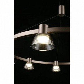 Подвесная люстра Aployt Rezeda APL.788.03.09 в Режи - rezh.mebel24.online | фото 15