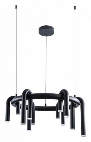Подвесная люстра Arte Lamp Warhol A3258LM-30BK в Режи - rezh.mebel24.online | фото