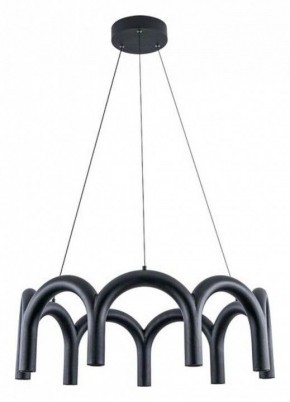 Подвесная люстра Arte Lamp Warhol A3258LM-45BK в Режи - rezh.mebel24.online | фото 2