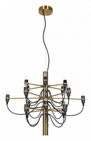 Подвесная люстра Divinare Molto 8030/17 LM-18 в Режи - rezh.mebel24.online | фото 2