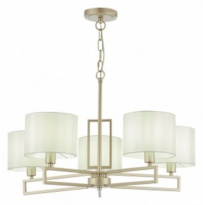 Подвесная люстра EVOLUCE Danae SLE105803-05 в Режи - rezh.mebel24.online | фото 2