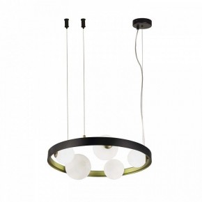 Подвесная люстра F-promo Shanku 4628-5P в Режи - rezh.mebel24.online | фото 3