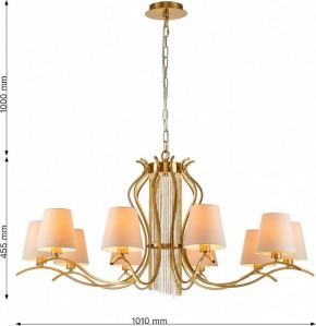 Подвесная люстра Favourite Ketten 2867-10P в Режи - rezh.mebel24.online | фото 4