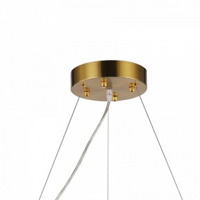 Подвесная люстра Favourite Magnitudo 2206-12P в Режи - rezh.mebel24.online | фото 7