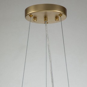 Подвесная люстра Favourite Rays 4058-14P в Режи - rezh.mebel24.online | фото 11