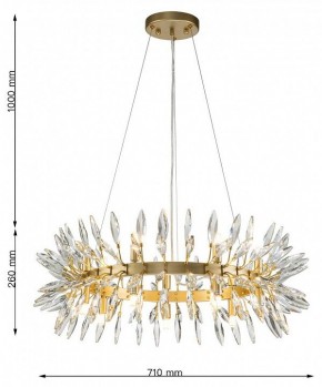 Подвесная люстра Favourite Rays 4058-14P в Режи - rezh.mebel24.online | фото 7