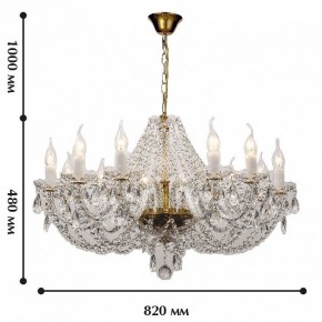 Подвесная люстра Favourite Simone 1736-12P в Режи - rezh.mebel24.online | фото 2