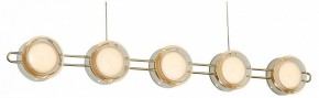 Подвесная люстра Favourite Yo-yo 4334-10P в Режи - rezh.mebel24.online | фото