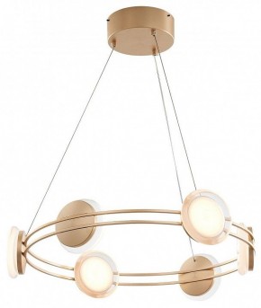 Подвесная люстра Favourite Yo-yo 4334-6P в Режи - rezh.mebel24.online | фото 2
