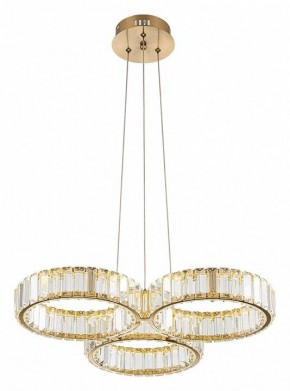 Подвесная люстра Indigo Favo V000073L в Режи - rezh.mebel24.online | фото 3