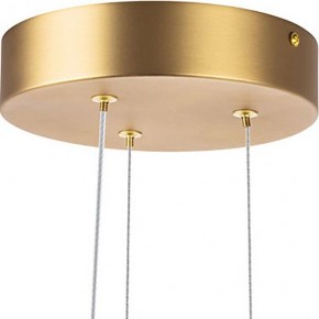 Подвесная люстра Lightstar Bergamo 745247 в Режи - rezh.mebel24.online | фото 6