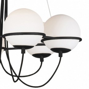 Подвесная люстра Lightstar Globo 803267 в Режи - rezh.mebel24.online | фото 5