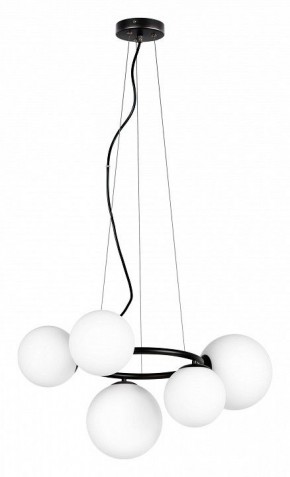 Подвесная люстра Lightstar Globo 815057 в Режи - rezh.mebel24.online | фото 2