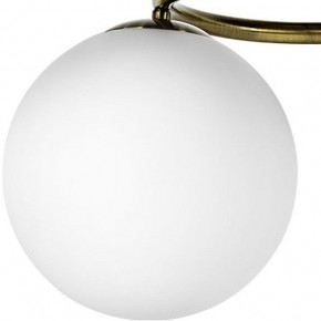 Подвесная люстра Lightstar Globo 815091 в Режи - rezh.mebel24.online | фото 3