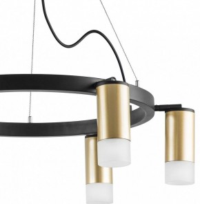Подвесная люстра Lightstar Rullo LR0164061 в Режи - rezh.mebel24.online | фото 4