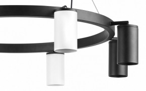 Подвесная люстра Lightstar Rullo LR018364374 в Режи - rezh.mebel24.online | фото 5