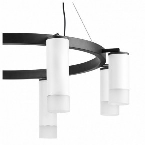 Подвесная люстра Lightstar Rullo LR0188643641 в Режи - rezh.mebel24.online | фото 5
