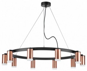 Подвесная люстра Lightstar Rullo LR0203000 в Режи - rezh.mebel24.online | фото 2