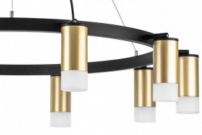Подвесная люстра Lightstar Rullo LR0204001 в Режи - rezh.mebel24.online | фото 5
