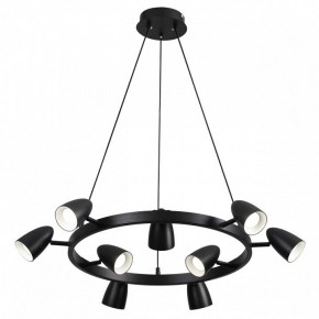 Подвесная люстра Lumion Ilmina 8237/9 в Режи - rezh.mebel24.online | фото 2