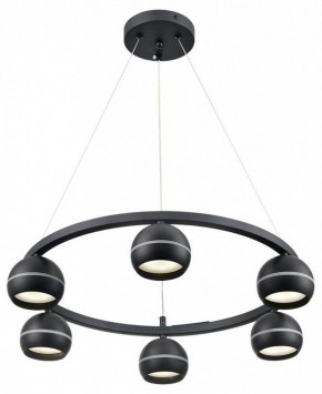 Подвесная люстра Lumion Luazana 8242/6 в Режи - rezh.mebel24.online | фото 2