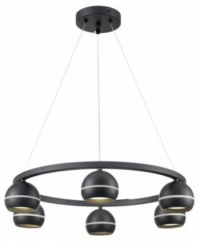 Подвесная люстра Lumion Luazana 8242/6 в Режи - rezh.mebel24.online | фото 3