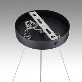 Подвесная люстра Lumion Luazana 8242/6 в Режи - rezh.mebel24.online | фото 7