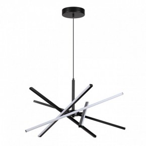 Подвесная люстра Lumion Parker 6563/60L в Режи - rezh.mebel24.online | фото 2
