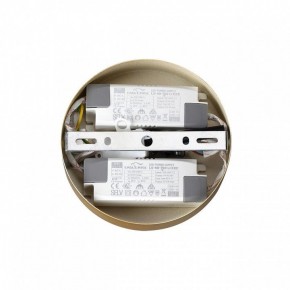 Подвесная люстра Lumion Parker 6564/60L в Режи - rezh.mebel24.online | фото 6