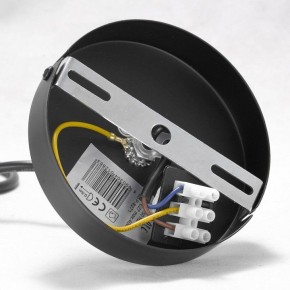 Подвесная люстра Lussole Kenner GRLSP-8271 в Режи - rezh.mebel24.online | фото 7