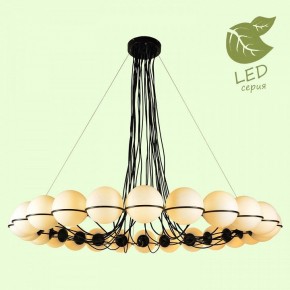 Подвесная люстра Lussole Seneca GRLSP-8176 в Режи - rezh.mebel24.online | фото 3