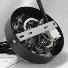 Подвесная люстра Lussole Seneca GRLSP-8177 в Режи - rezh.mebel24.online | фото 10