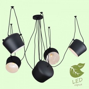 Подвесная люстра Lussole Shirley GRLSP-9919 в Режи - rezh.mebel24.online | фото