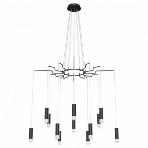 Подвесная люстра Maytoni Davida MOD035PL-12B в Режи - rezh.mebel24.online | фото 2