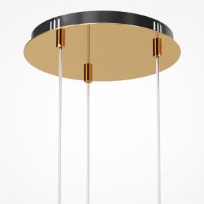 Подвесная люстра Maytoni Drop MOD273PL-L33G3K в Режи - rezh.mebel24.online | фото 6