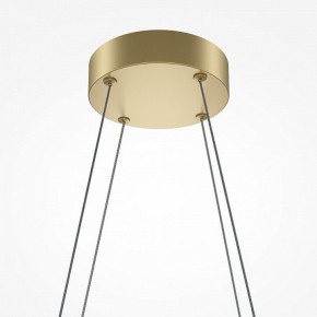 Подвесная люстра Maytoni Halo MOD244PL-L50BSK в Режи - rezh.mebel24.online | фото 4