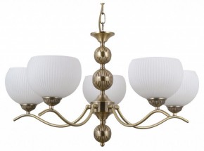 Подвесная люстра MW-Light Фелиция 28 347019705 в Режи - rezh.mebel24.online | фото