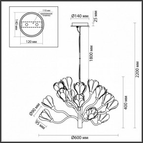 Подвесная люстра Odeon Light Gardi 5090/15 в Режи - rezh.mebel24.online | фото 6