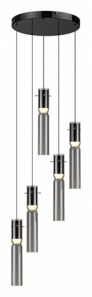 Подвесная люстра Odeon Light Scrow 5058/25L в Режи - rezh.mebel24.online | фото 2