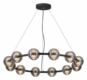 Подвесная люстра Odeon Light Troni 5041/120L в Режи - rezh.mebel24.online | фото 2