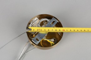 Подвесная люстра Omnilux Ales OML-69103-06 в Режи - rezh.mebel24.online | фото 11